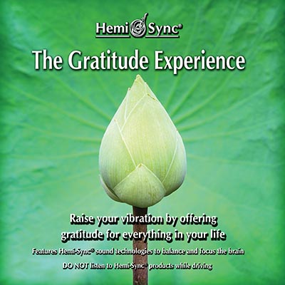 The Gratitude Experience
